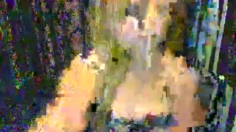 Knows Everything online show from September 2025 11:38:01 PM