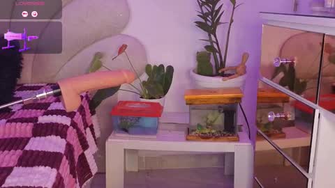 korolova online show from September 2025 01:28:01 AM