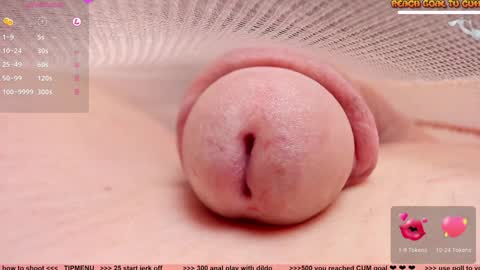 Petra online show from January 2025 02:52:01 PM