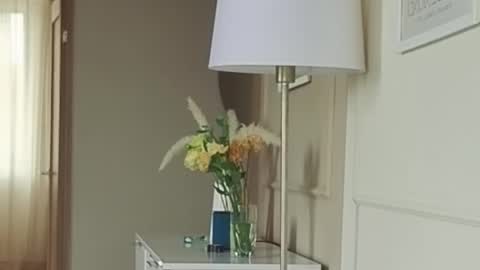 Kristi online show from September 2025 05:18:02 AM