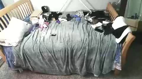 Snapshot of kulinky6969 chatting on December 2025 11:58:02 AM kulinky6969 online show from December 2025 11:58:02 AM