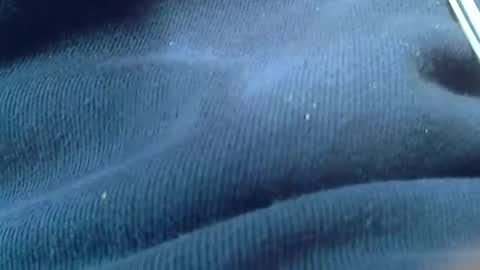 kunio37 online show from January 2025 01:42:01 AM