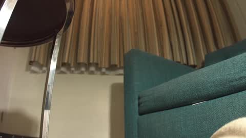 lacub online show from February 2025 07:17:01 AM