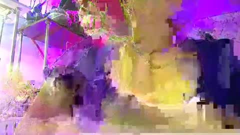 Lady Gloria online show from January 2026 06:05:02 AM