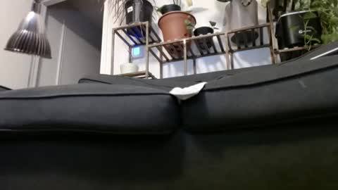 Rick online show from December 2024 04:33:02 AM