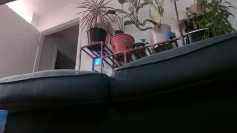 Rick online show from February 2025 03:08:02 AM