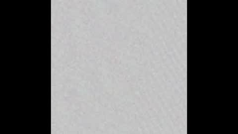 laim_sex online show from November 2025 10:03:02 AM