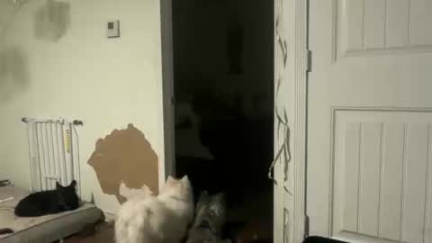 lanasharapovaxxx online show from February 2026 12:28:02 AM