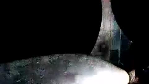 latexchris77 online show from January 2026 07:55:01 AM