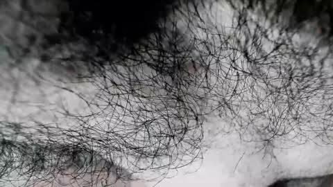 Zeus online show from February 2025 01:31:02 PM