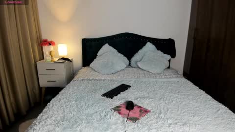 Snapshot of laurent_jones chatting on January 2025 11:06:02 AM daniela angel online show from January 2025 11:06:02 AM