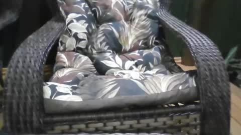 kelly online show from December 2025 01:13:01 AM