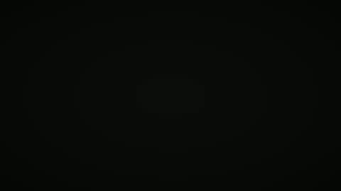 Michel online show from February 2025 06:31:02 PM