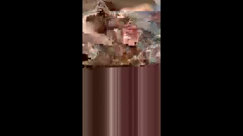 Snapshot of leelusk2023 chatting on June 2026 08:05:02 AM leelusk2023 online show from June 2026 08:05:02 AM