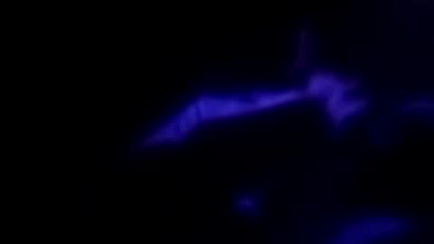 Michael online show from September 2025 09:14:02 AM