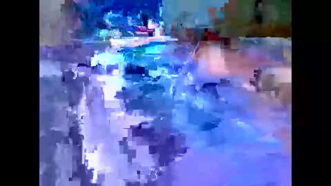 Michael online show from December 2025 07:39:01 AM