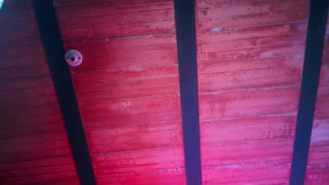 Lenardo jaramillo online show from December 2024 01:01:02 PM