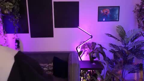 Levity online show from November 2025 11:15:01 PM