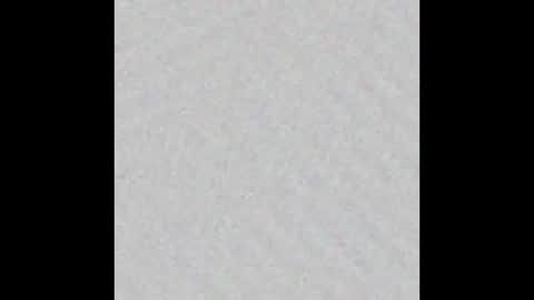 lewdy booty online show from March 2026 02:18:01 AM