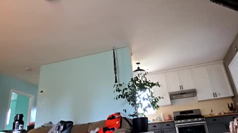 lickurpussygood40 online show from October 2025 05:31:02 PM