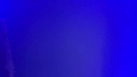 Snapshot of lickyouryoni chatting on January 2025 02:52:02 PM LickYourYoni online show from January 2025 02:52:02 PM