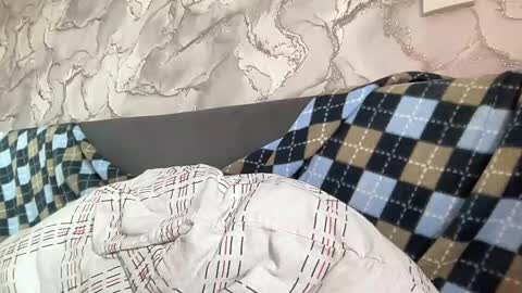 Snapshot of liissa207673 chatting on February 2025 05:11:02 AM liissa207673 online show from February 2025 05:11:02 AM