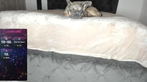 Snapshot of lilith_parker chatting on January 2025 01:20:02 AM Lilith Parker online show from January 2025 01:20:02 AM