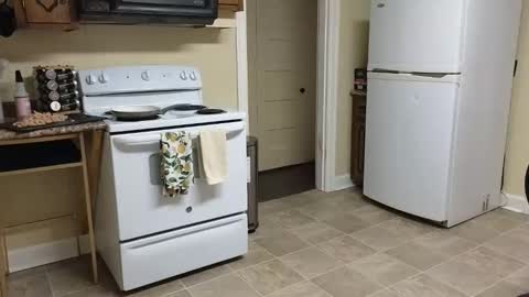 lilly_adams88 online show from February 2026 02:52:01 AM