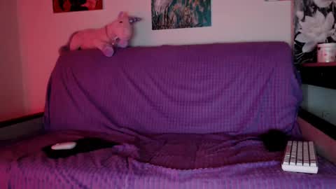 Lily Litle online show from December 2024 06:17:02 PM