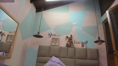 Lily online show from February 2025 11:18:02 AM