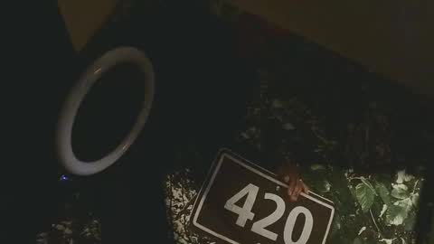 lilybvixen online show from February 2026 04:55:02 AM