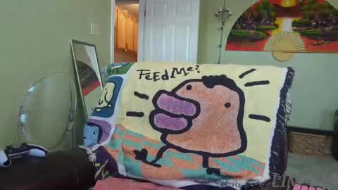 Snapshot of linzy19 chatting on September 2025 01:24:02 PM Linzy19 online show from September 2025 01:24:02 PM