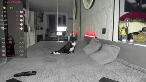 Lisa online show from November 2025 02:45:02 PM