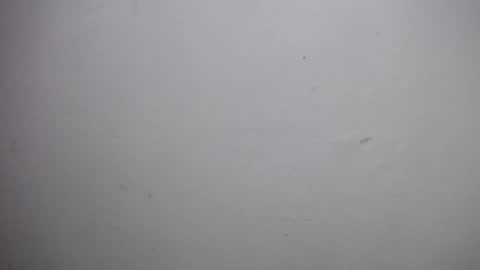 lisa_branch online show from December 2025 10:54:01 AM