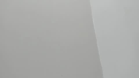 im olivia IG littleolivia01 online show from January 2025 12:45:02 PM