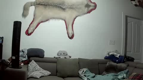 Snapshot of lolalixx6969 chatting on October 2025 05:49:02 AM Lola Lixx online show from October 2025 05:49:02 AM