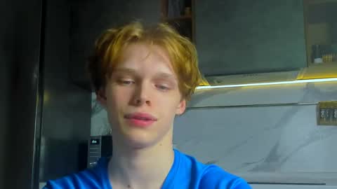 Snapshot of lolnoillimsary chatting on April 2026 06:16:02 PM Nelis online show from April 2026 06:16:02 PM