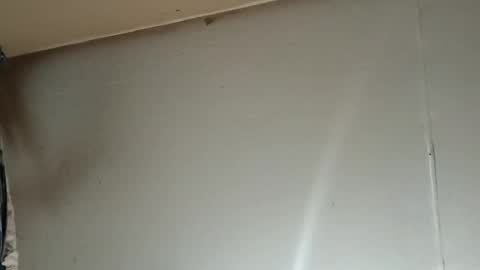 longone2600 online show from January 2026 04:39:02 AM