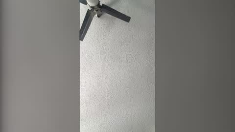 Dominate bbc online show from February 2026 07:52:02 PM