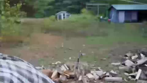 Snapshot of longtimerambler chatting on October 2025 09:02:01 PM longtimerambler online show from October 2025 09:02:01 PM