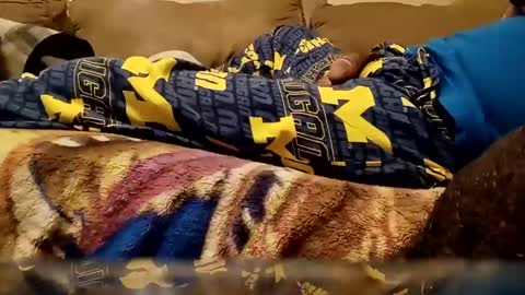 looking4bush online show from December 2024 10:59:01 PM