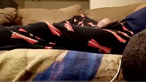 looking4bush online show from October 2025 03:28:01 AM