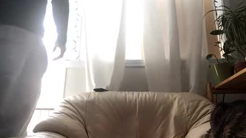 lorenzo_bianchi online show from February 2026 02:16:02 PM