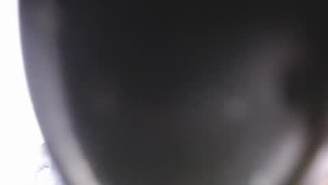 lorexxw online show from July 2026 12:15:02 AM