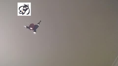 nefisa nef online show from March 2025 12:31:01 AM