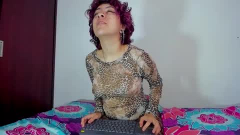 lotto_bloom online show from December 2025 02:34:01 PM