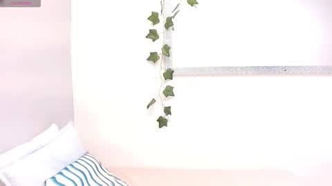 Louis K online show from February 2026 11:28:01 AM