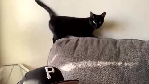 lovecurve_ online show from March 2025 01:09:01 AM