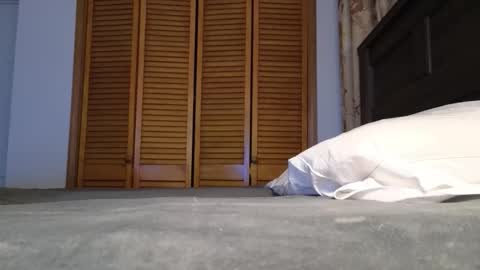 Amber online show from January 2026 02:58:02 AM