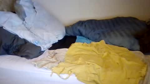 lu485947452685 online show from December 2025 06:48:02 PM